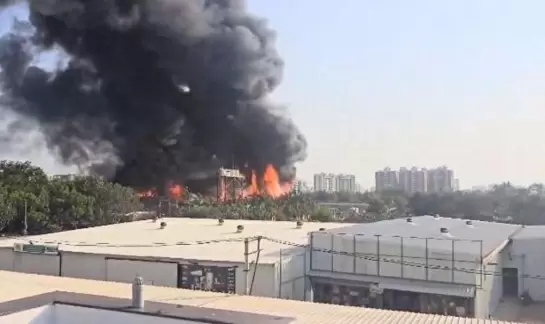 Massive Fire at Rajkot Gaming Zone Claims 24 Lives, Owner Arrested